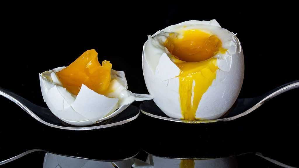 Aliments contenant de bonnes graisses - Œufs