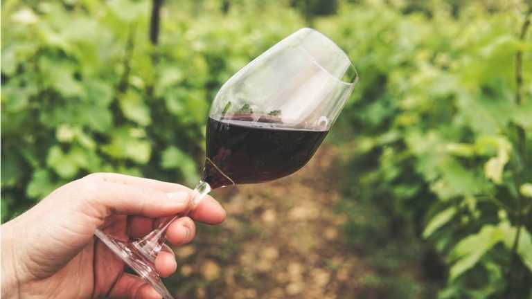 Las razones por las que beber vino produce dolor de cabeza