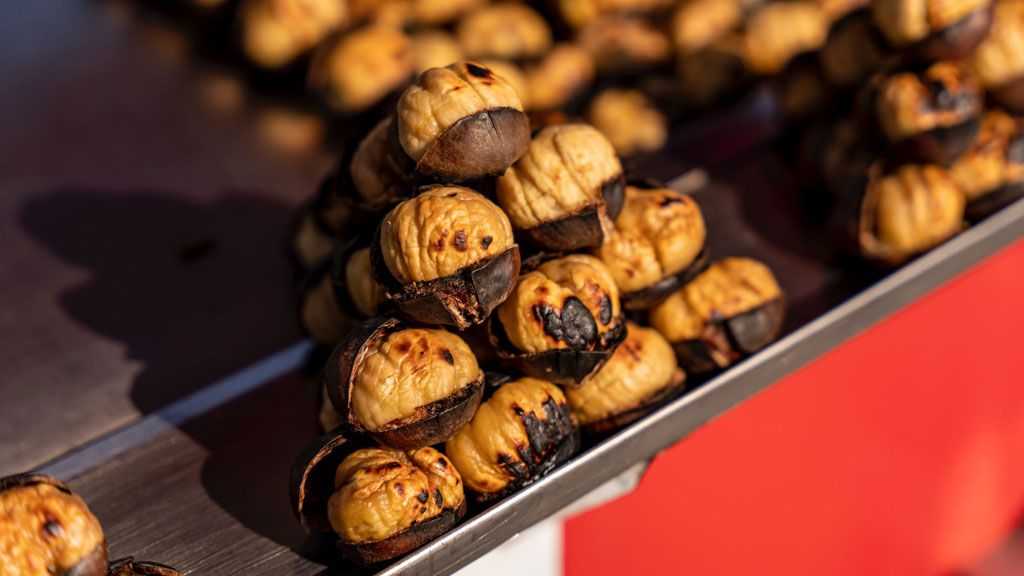 Quali sono le proprietà delle castagne?