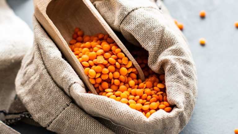 Lentilles : propriétés, bienfaits et comment les cuisiner.
