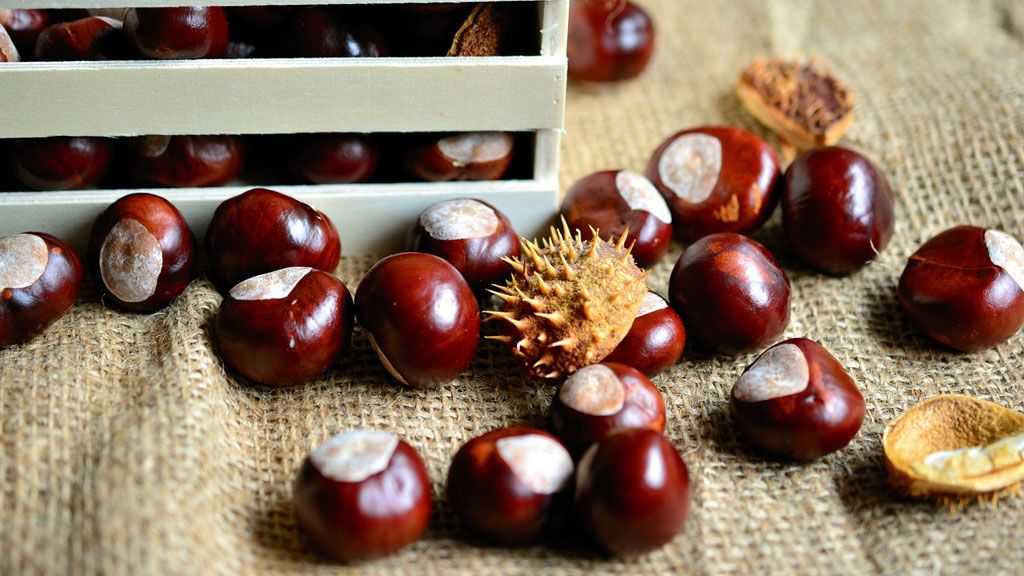 Castañas, ¡las propiedades del fruto seco del otoño! - Sano y Equilibrado