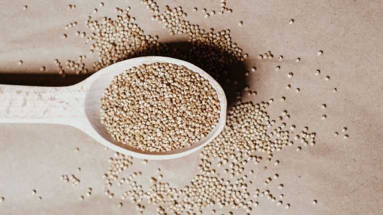 Quali sono le proprietà della quinoa?