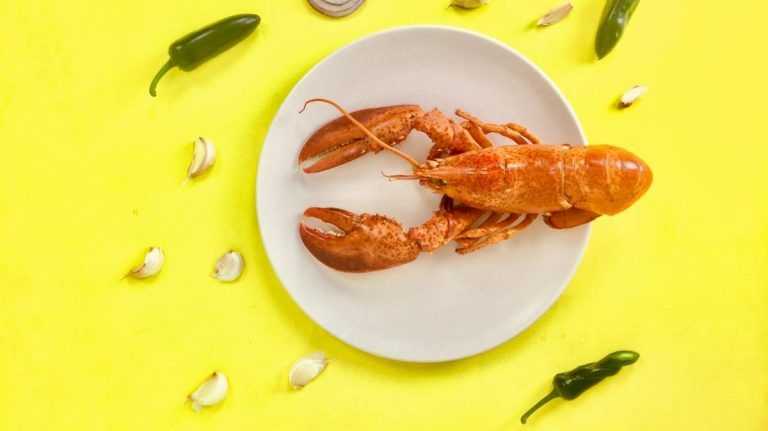 O marisco aumenta o colesterol?