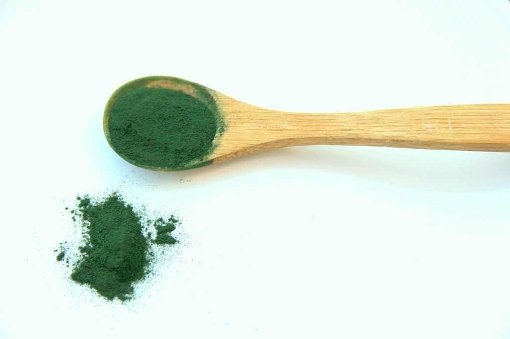 Tout ce que tu dois savoir sur la spiruline