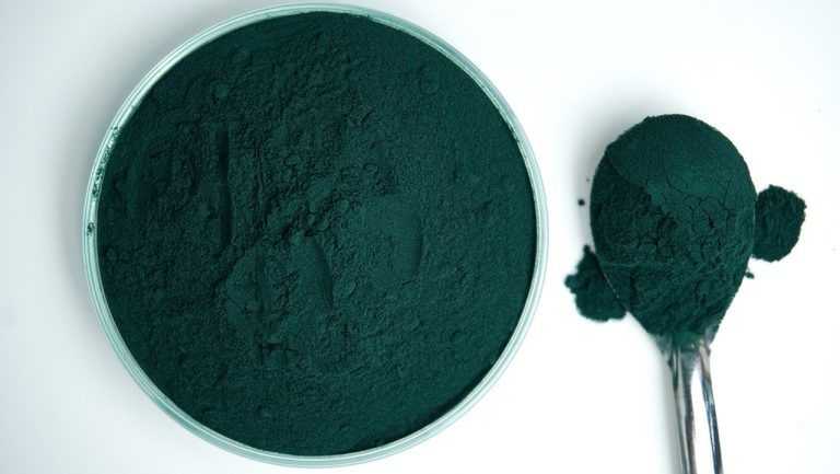A spirulina é realmente boa para a tua saúde?