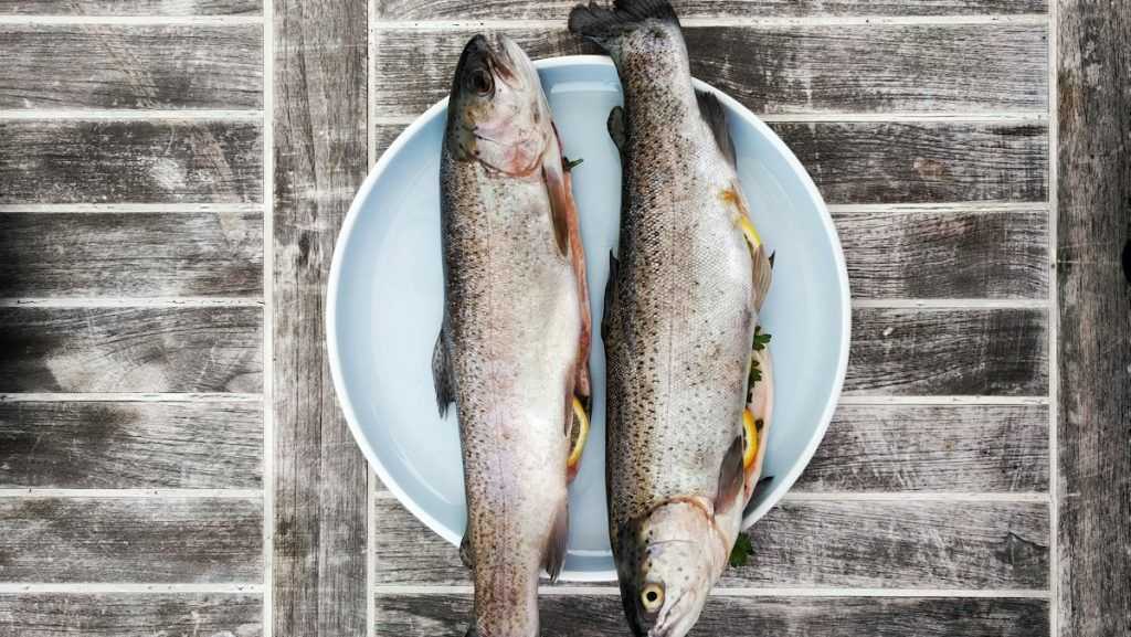 Los pescados de río, como la trucha, no tienen anisakis