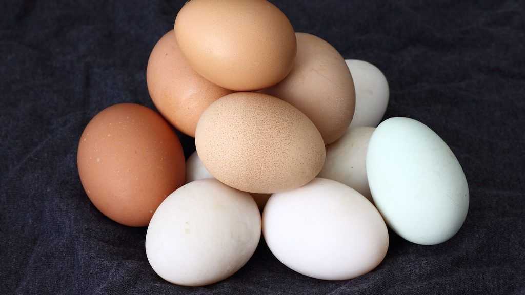 Huevo y sus propiedades nutricionales