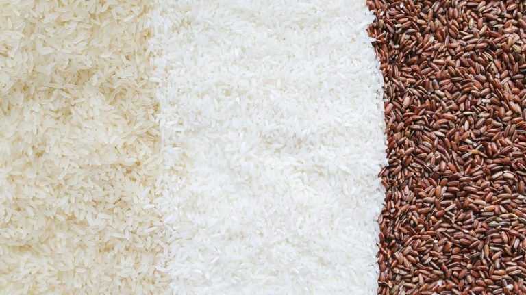 Riso Jasmine o riso bianco: qual è il più sano?