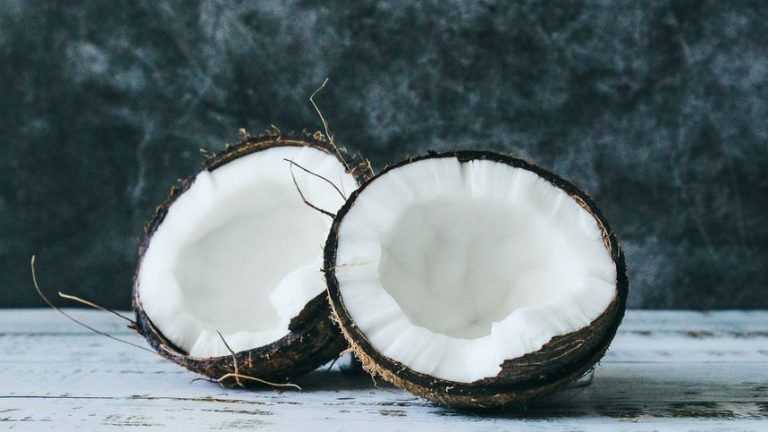 Tout ce que tu dois savoir sur la farine de coco