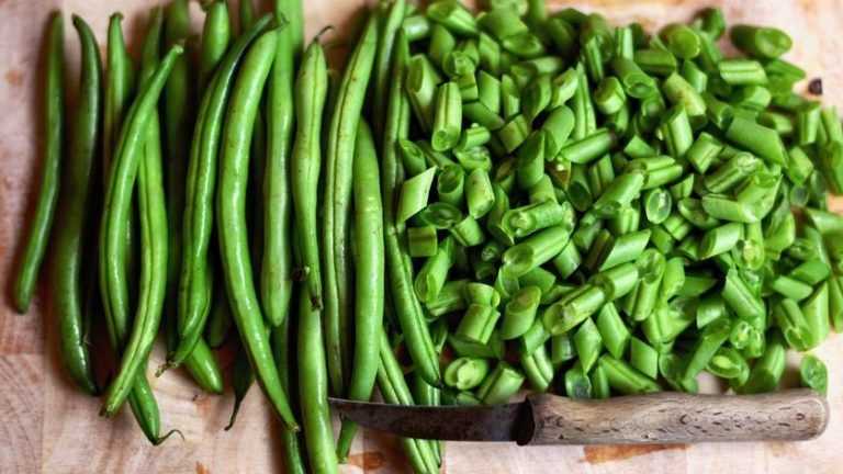 Les bienfaits des haricots verts pour la santé