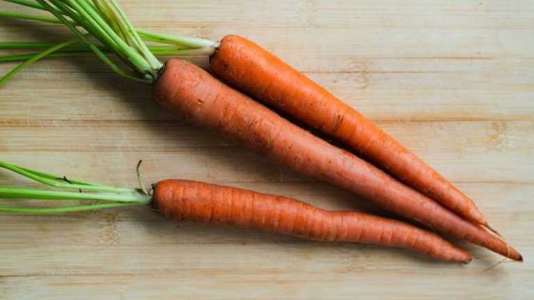 Les carottes sont-elles recommandées pour le régime céto ?