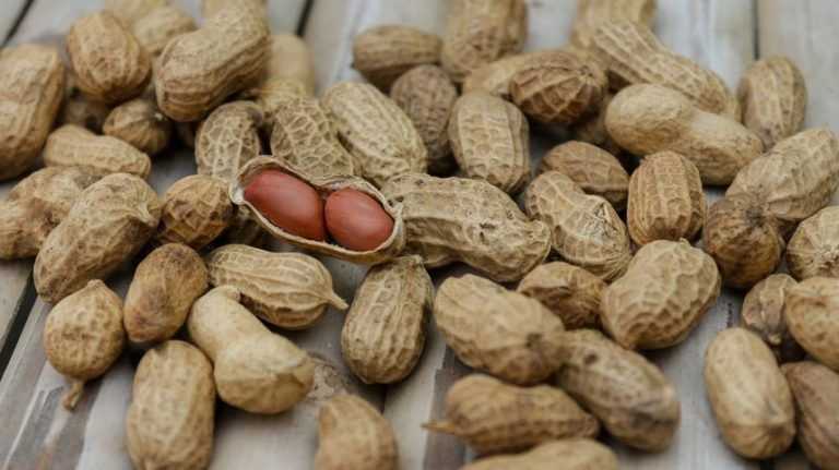 Les cacahuètes sont-elles bonnes pour la perte de poids ?