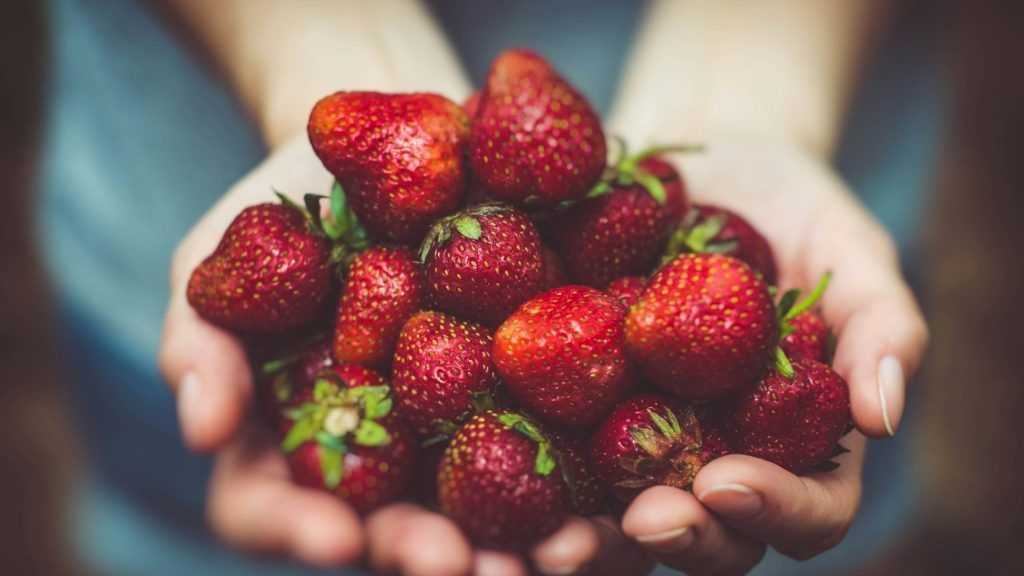 Perché non è lo stesso mangiare frutta intera e frutta schiacciata?