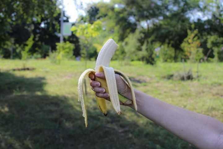 Les bananes sont-elles bonnes à manger après l'exercice ?
