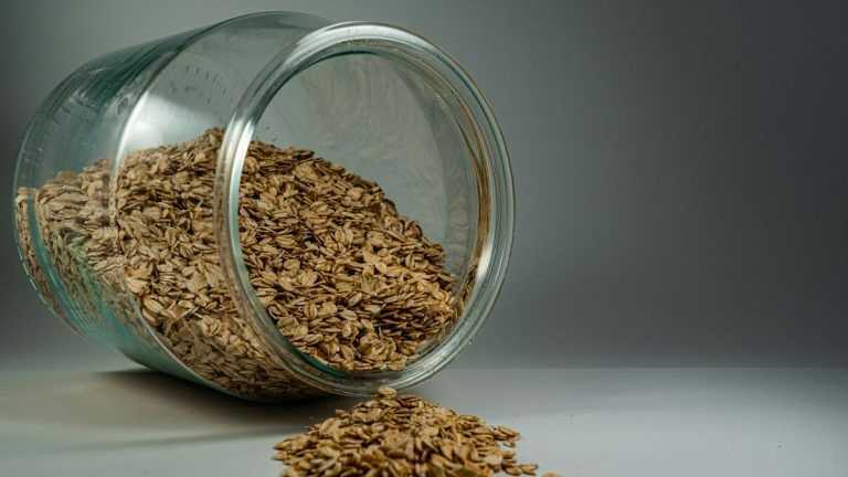 3 motivi per includere l'avena nella tua routine quotidiana