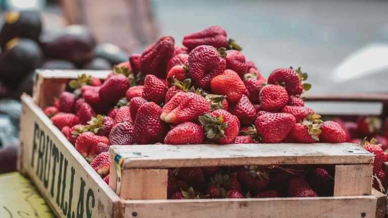 Quels sont les risques pour la santé liés à la consommation de fruits moisis ?