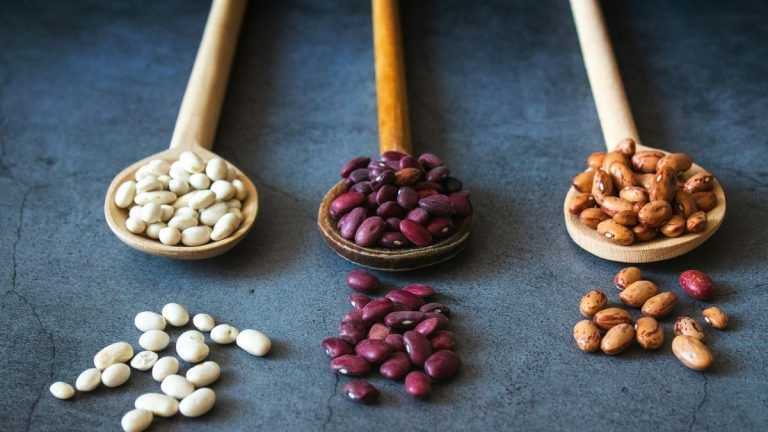 I fagioli bianchi fanno bene alla digestione?