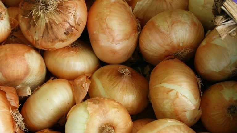 ¿La cebolla puede causar problemas digestivos?