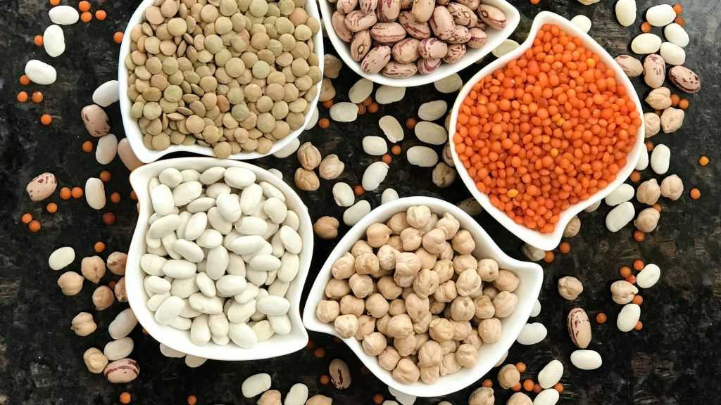 Gli antinutrienti negli alimenti: sono pericolosi o hanno un lato positivo?