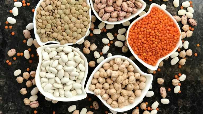 Antinutrientes de los alimentos, ¿son peligrosos o tienen su lado bueno?