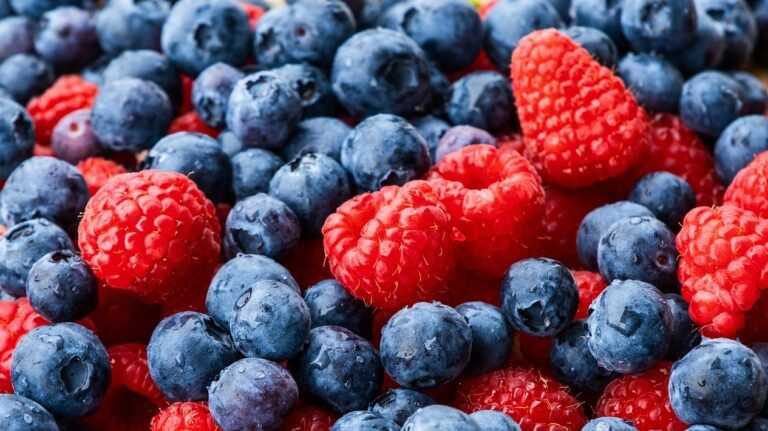 As melhores frutas para os teus batidos para te ajudar a perder peso