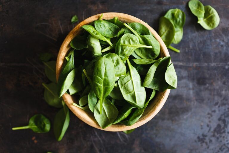 Propiedades y beneficios de la albahaca