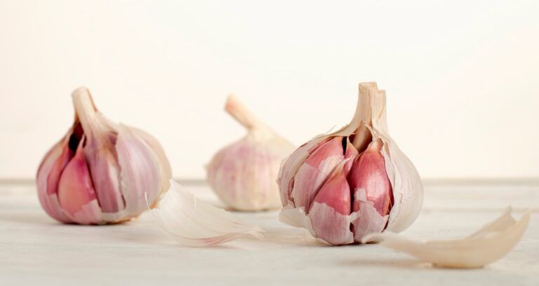 Descubre los increíbles beneficios del ajo para la salud