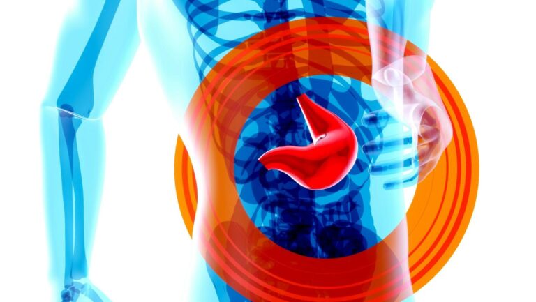 Menú para mejorar la microbiota