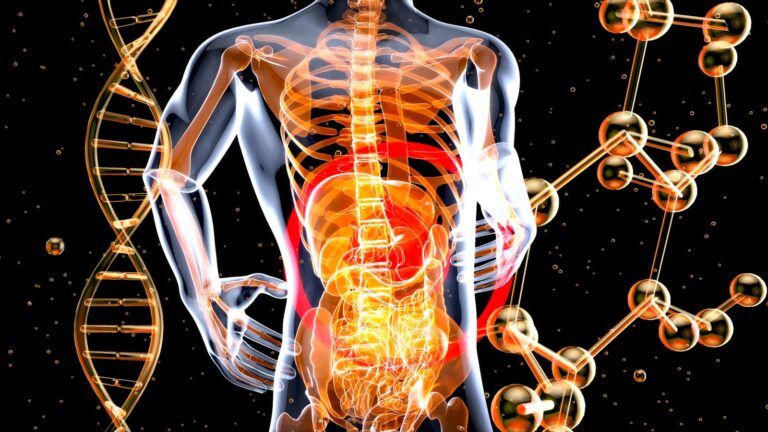 Todo lo que deberías saber sobre la microbiota