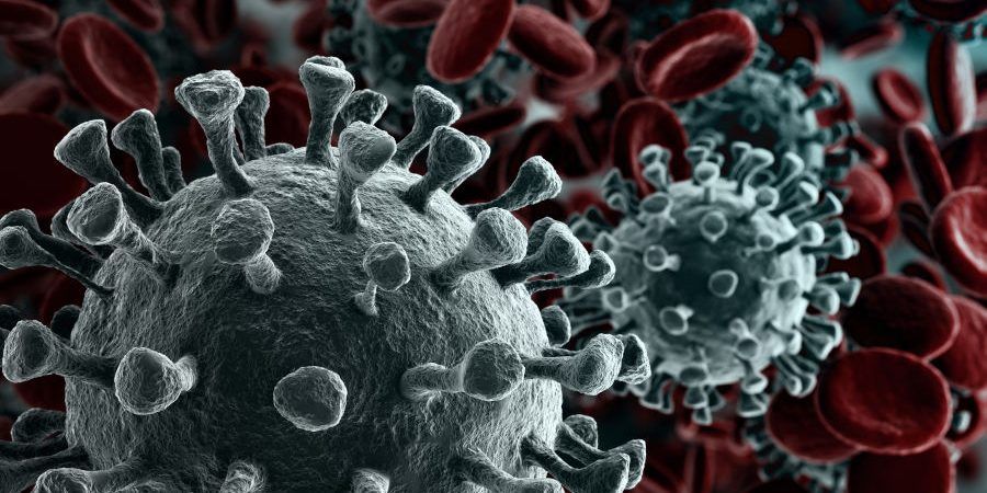 ¿Qué hacer si tengo helicobacter pylori?
