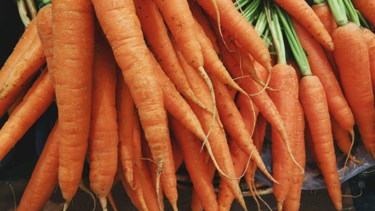 ¿Las zanahorias son aptas para la dieta keto?